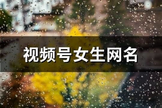 视频号女生网名(593个)