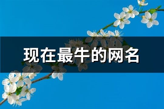 现在最牛的网名(精选1772个)