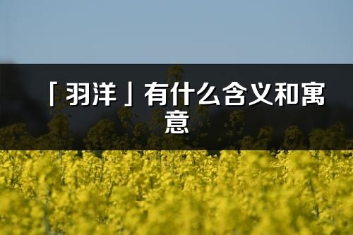 「羽洋」有什么含义和寓意