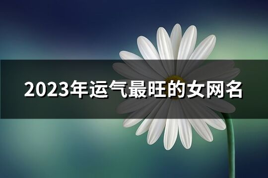 2023年运气最旺的女网名(精选1423个)