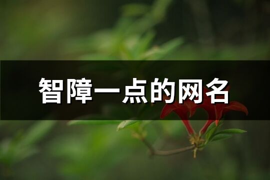 智障一点的网名(共249个)