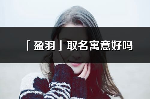 「盈羽」取名寓意好吗