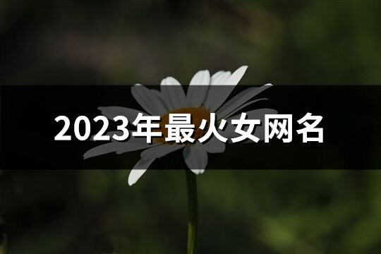 2023年最火女网名(精选1505个)