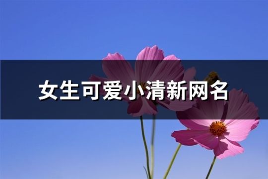 女生可爱小清新网名(精选628个)