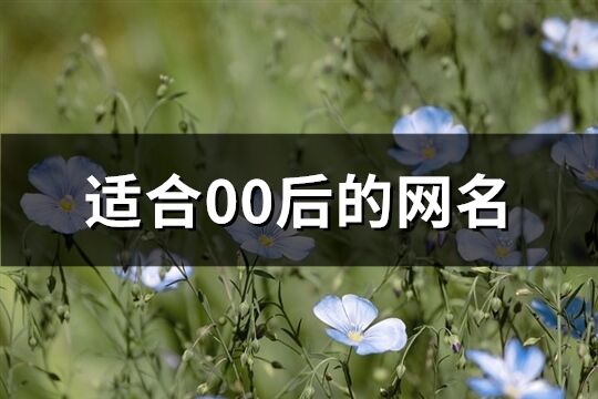 适合00后的网名(共163个)