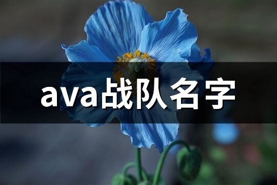 ava战队名字(共84个)