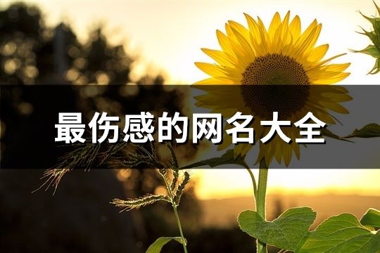 最伤感的网名大全(963个)