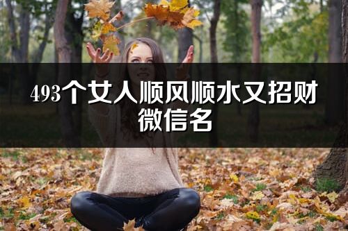 493个女人顺风顺水又招财微信名