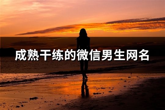 成熟干练的微信男生网名(精选134个)