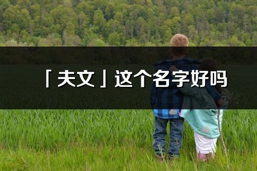 「夫文」这个名字好吗