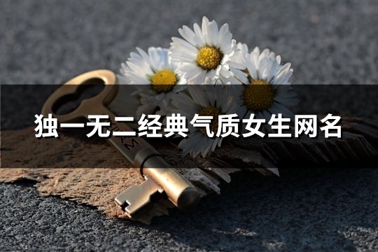 独一无二经典气质女生网名(共158个)