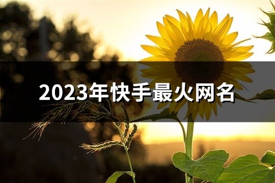 2023年快手最火网名(共613个)