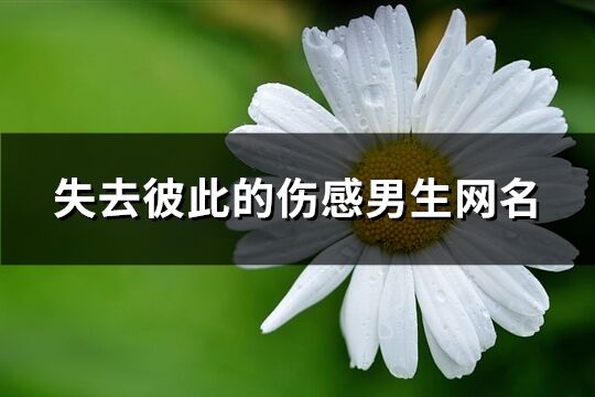 失去彼此的伤感男生网名(共522个)