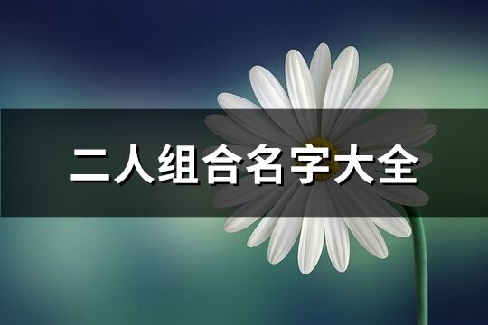 二人组合名字大全(193个)