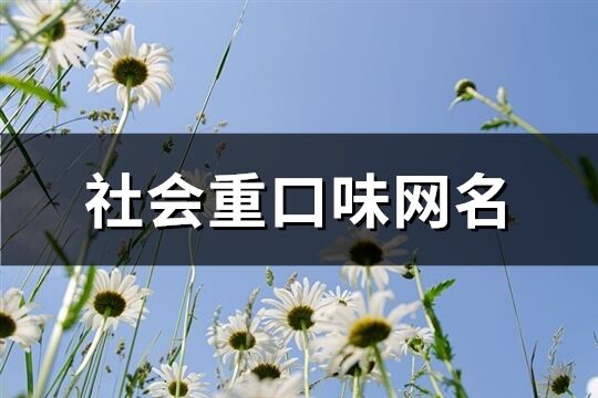 社会重口味网名(精选80个)