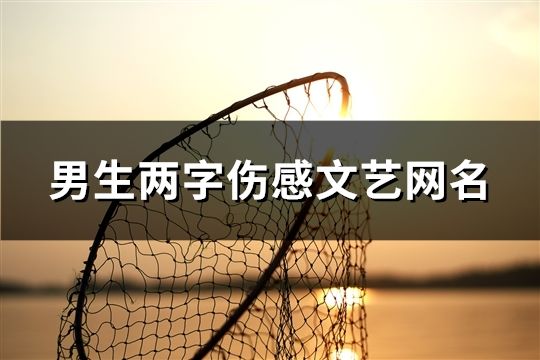 男生两字伤感文艺网名(共61个)