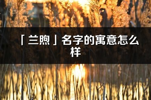 「兰煦」名字的寓意怎么样