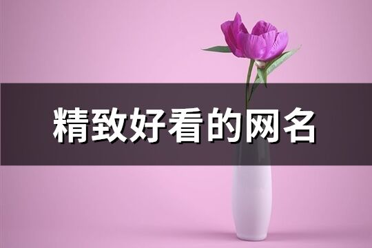 精致好看的网名(共139个)