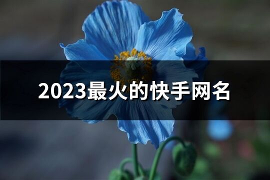 2023最火的快手网名(精选341个)