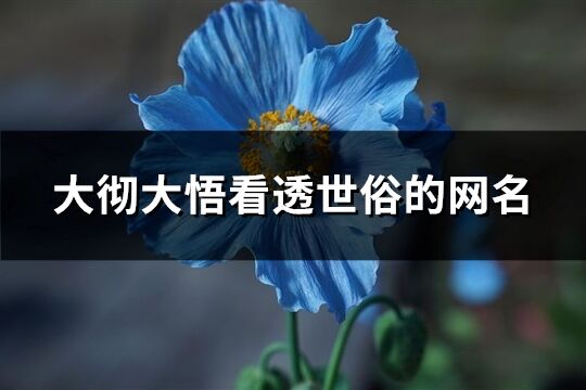 大彻大悟看透世俗的网名(共235个)