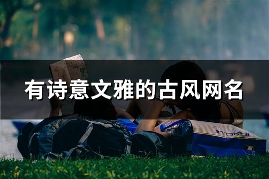 有诗意文雅的古风网名(共463个)