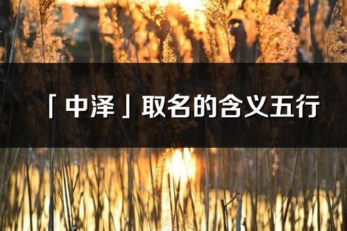 「中泽」取名的含义五行