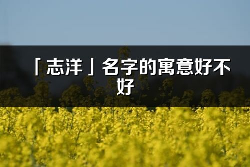 「志洋」名字的寓意好不好