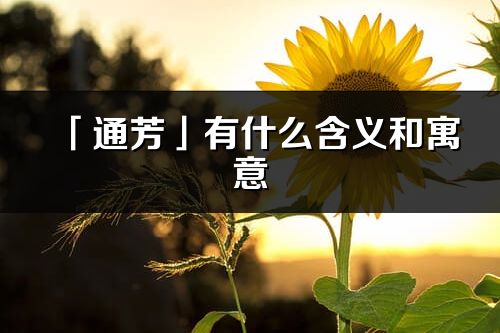 「通芳」有什么含义和寓意