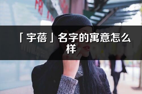 「宇蓓」名字的寓意怎么样