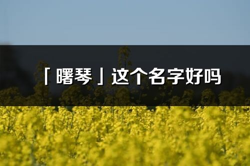 「曙琴」这个名字好吗