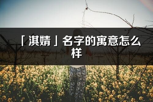 「淇婧」名字的寓意怎么样