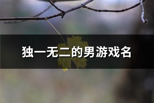 独一无二的男游戏名(精选106个)