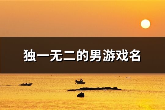 独一无二的男游戏名(精选117个)