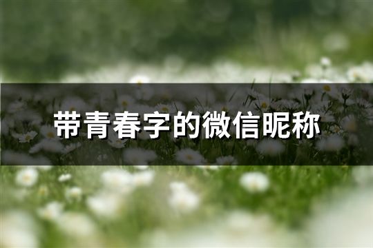 带青春字的微信昵称(88个)