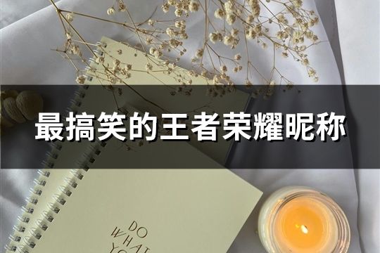 最搞笑的王者荣耀昵称(共133个)