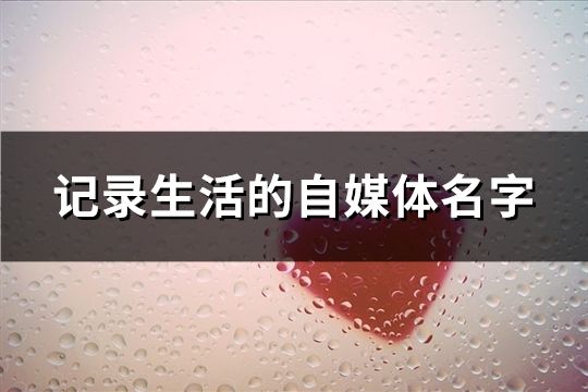 记录生活的自媒体名字(共124个)