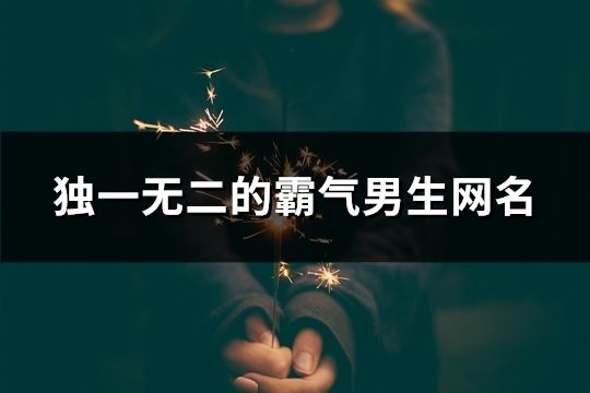 独一无二的霸气男生网名(167个)